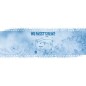 SNOMASTER Kühl- und Gefrierbox Lowprofile 92D