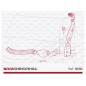 Bravo Snorkel IVECO DAILY (2014 - )