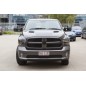 Clearview Außenspiegel NextGen RAM DS 2009-