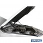 Motorhauben-Dämpfer Ford Ranger 2011-2015/ 2015-2022/ Mazda BT-50 2011-2015/ 2015-2020