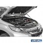 Motorhauben-Dämpfer Mitsubishi L200 2015-2019/ 2018-/ Pajero Sport 2016-2021/ 2021- Motorhauben-Dämpfer Mitsubishi L200 2015-2019/ 2018-/ Pajero Sport 2016-2021/ 2021-